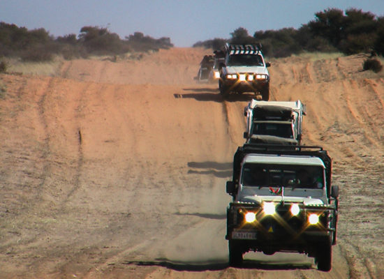Rijden met Landrovers tijdens een safari in Grandioos Afrika